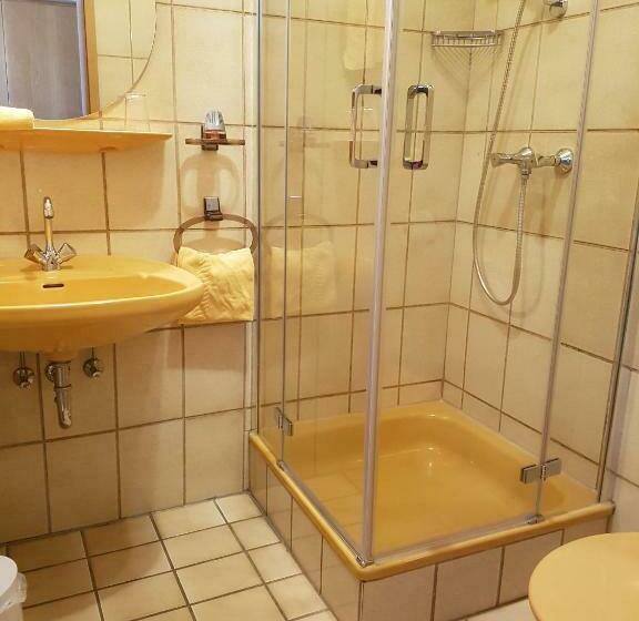 スタンダードシングルルーム, Wildenburger Hof