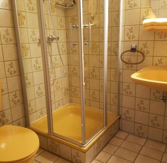 スタンダードルーム, Wildenburger Hof