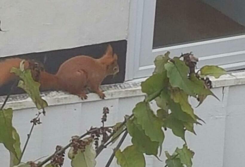 غرفة قياسية سرير كينج, Kingsmede Bed & Breakfast