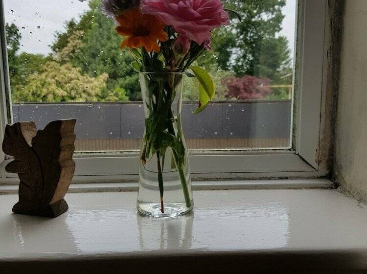 Номер Стандарт, Kingsmede Bed & Breakfast