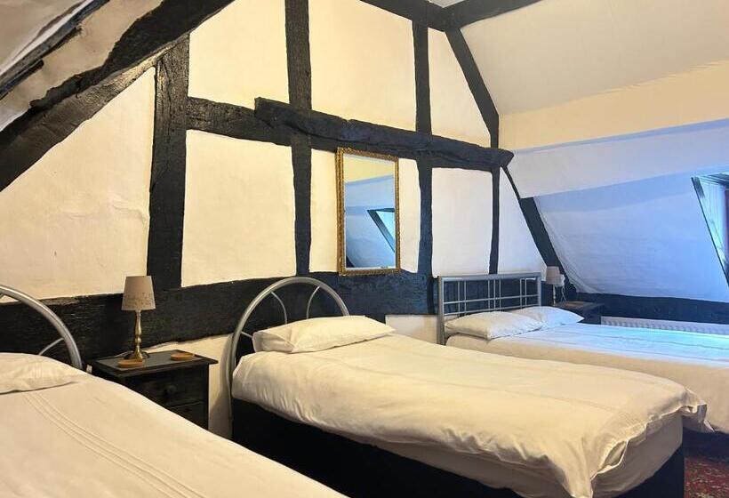 ファミリールーム, Bassa Villa