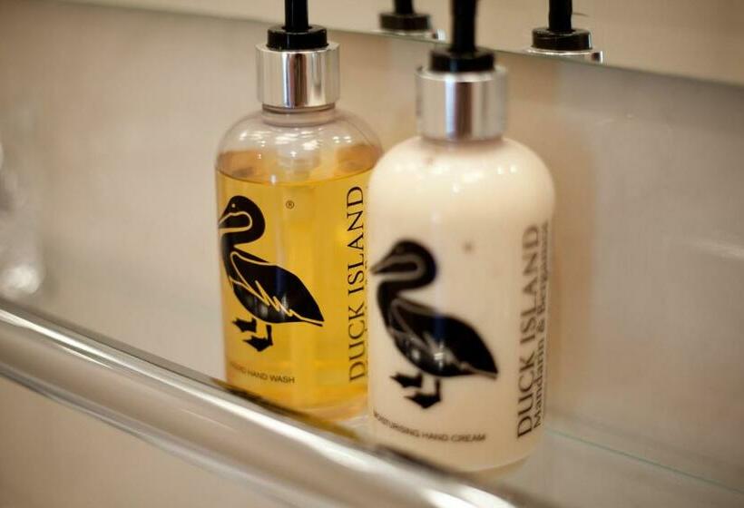 חדר דחוקס עם מיטת קינג, Tosson Tower Farm