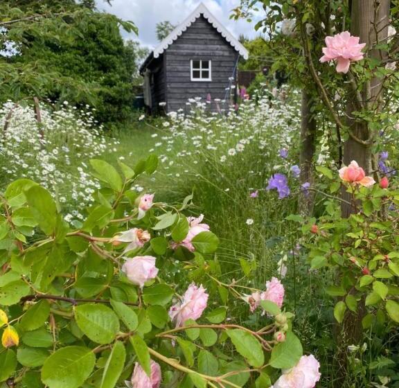 デラックスルーム, Mulleys Cottage