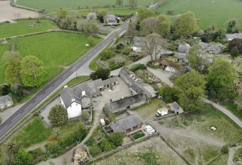 Номер Стандарт, Penisa Rllan Farm