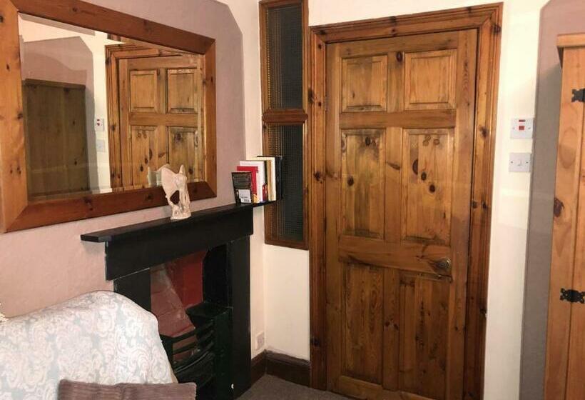 Номер Стандарт, Penisa Rllan Farm