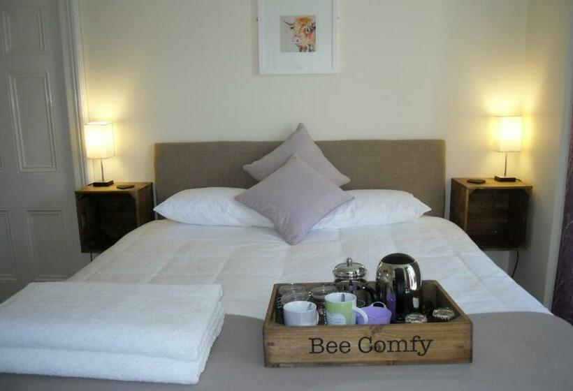 デラックスルーム, The Hive At 52