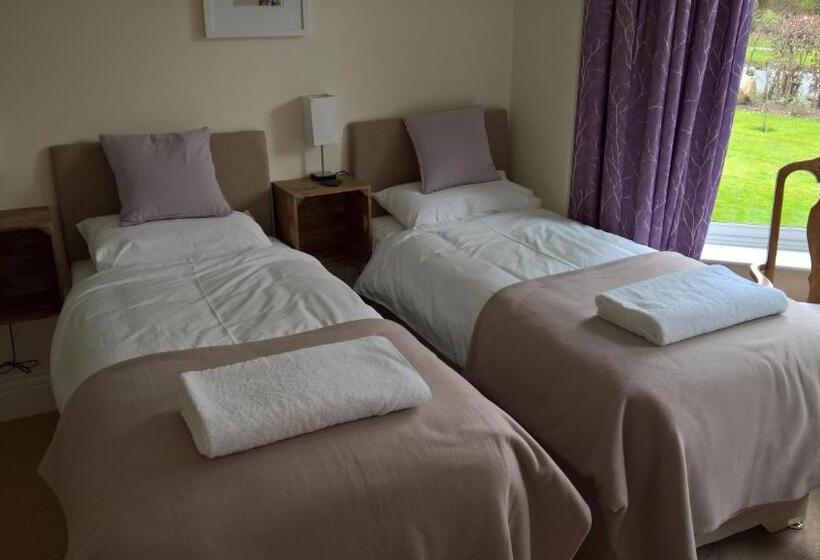 デラックスルーム, The Hive At 52