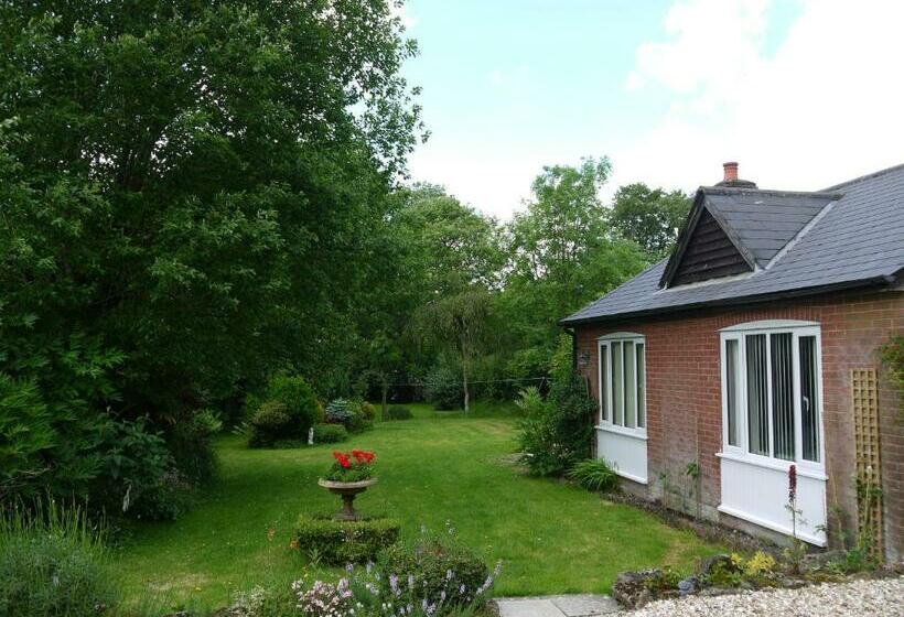 豪华房间, Three Ivy Cross