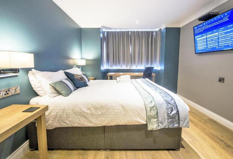 스탠다드 룸, Dolphin Rooms