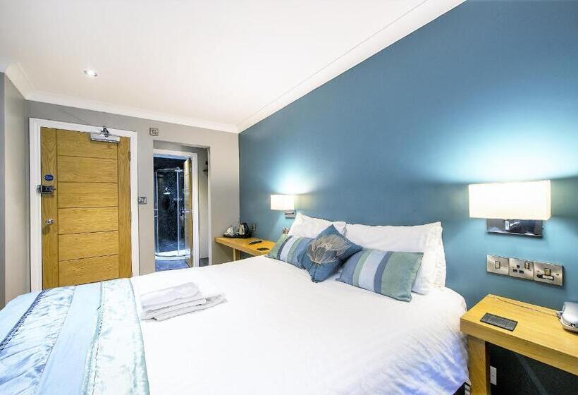 Номер Стандарт, Dolphin Rooms