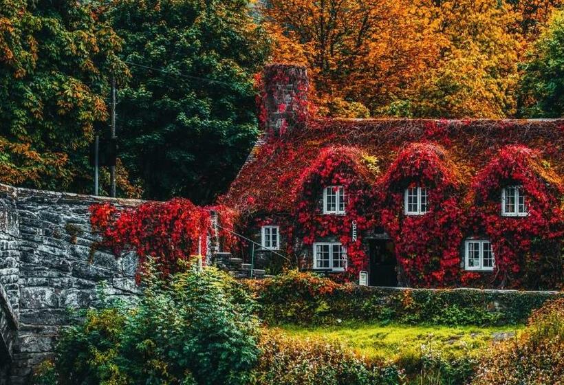 套房, Sterling Bed & Breakfast