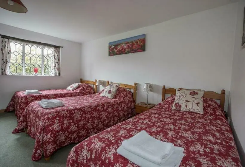 Standard Kolmen Hengen Huone, Strawberry Cottage B&b