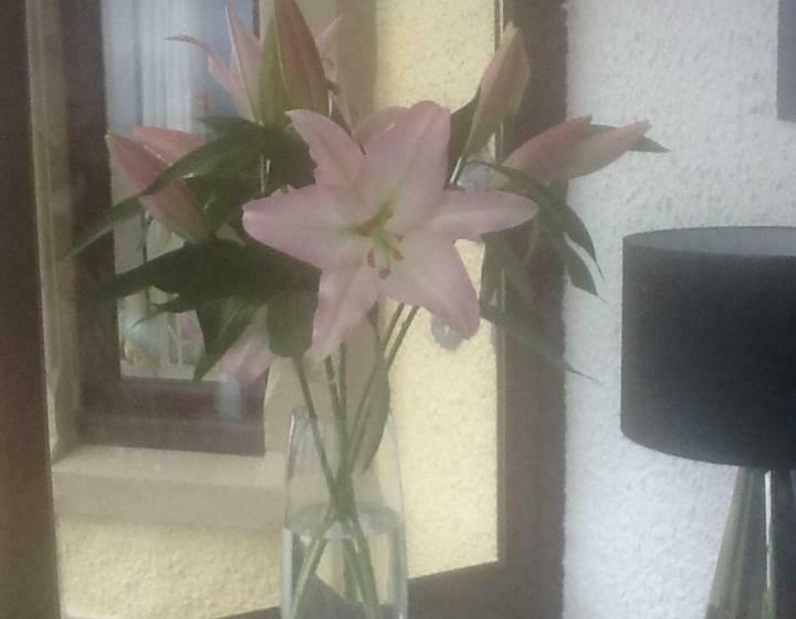 Номер Стандарт, Room Only At Wetherby Nairn