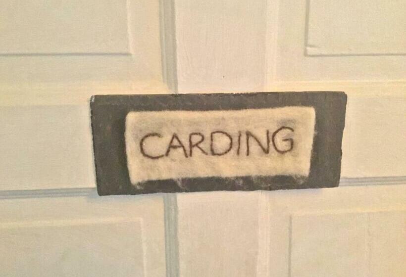 스탠다드 룸, Ty Seren