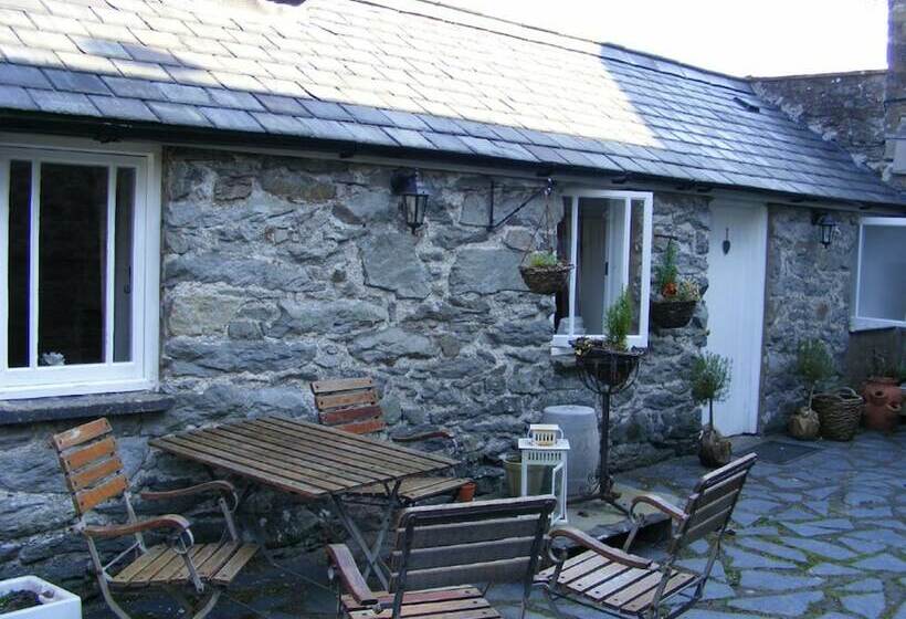 Люкс Повышенной Комфортности, Bodiwan Bed & Breakfast