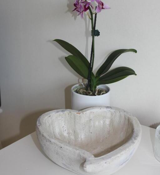 스탠다드 룸, Cairnview Bed And Breakfast