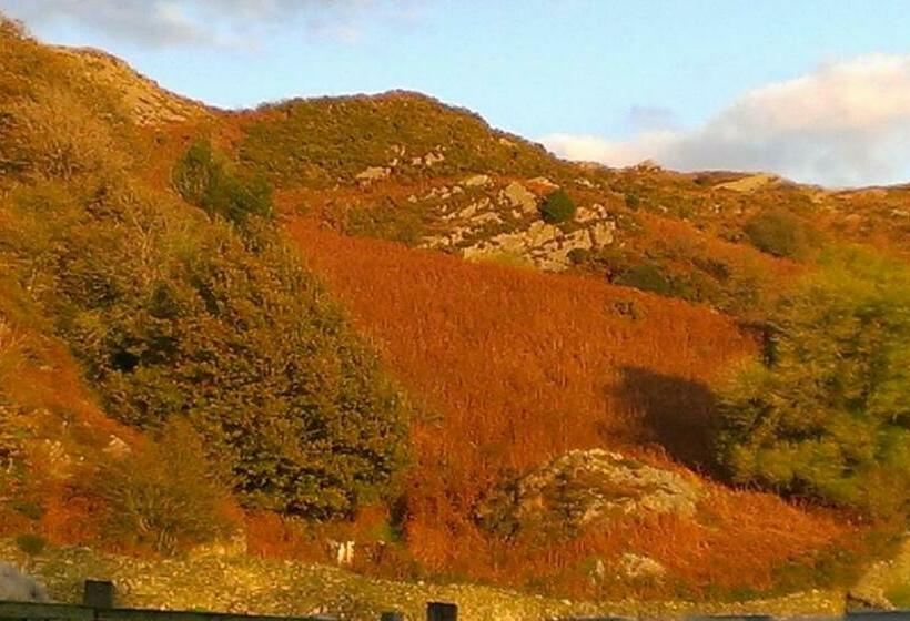 1ベッドルームアパートメント, Ellenboro House Bed & Breakfast & Self Catering