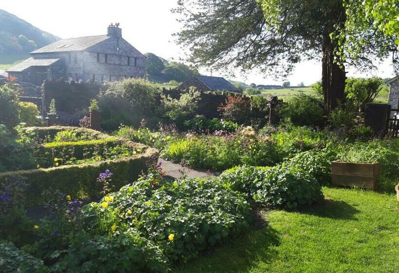 スタンダードルーム, Ellenboro House Bed & Breakfast & Self Catering