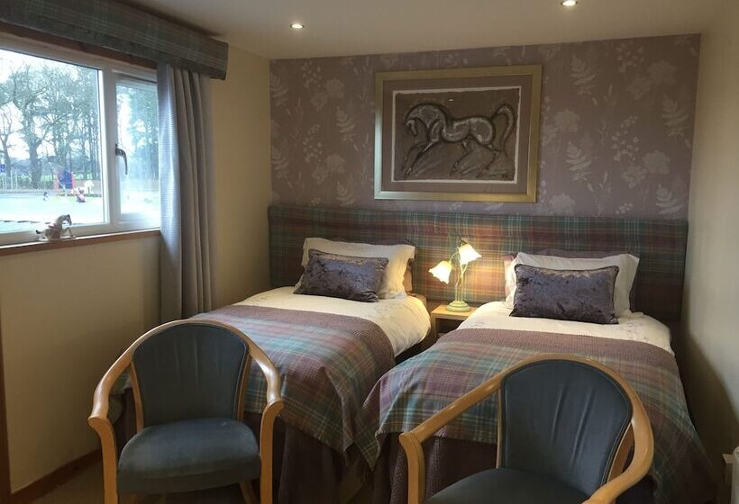 Номер Стандарт, Scottish Equi B&b