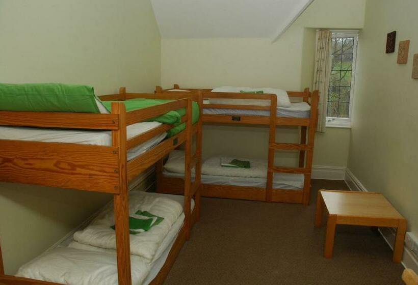 스탠다드 4인용 룸 공용 욕실, Yha Beer