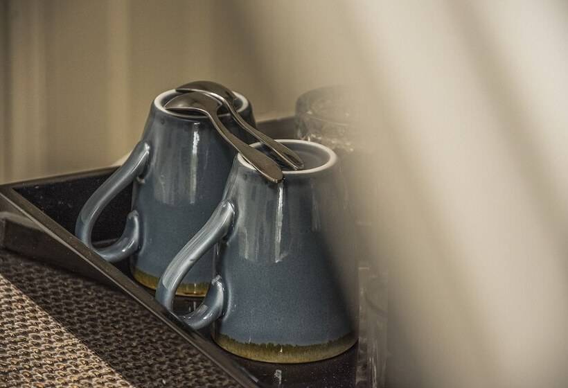 غرفة قياسية, The Swan Inn