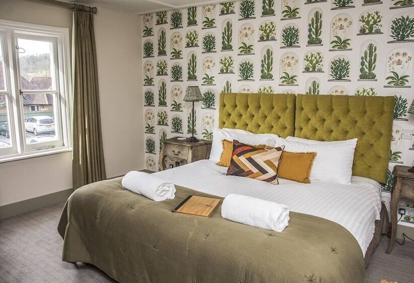 غرفة قياسية, The Swan Inn