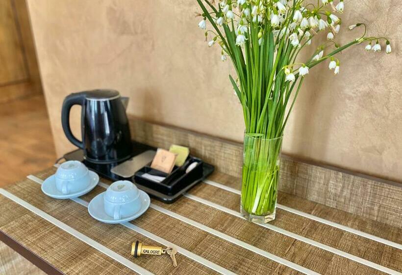 اتاق استاندارد, O. Galogre