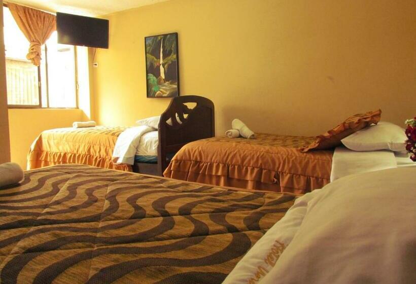 四人标准间, Hostal Anais