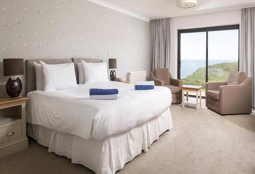 اتاق استاندارد با چشمانداز دریا, Soar Mill Cove