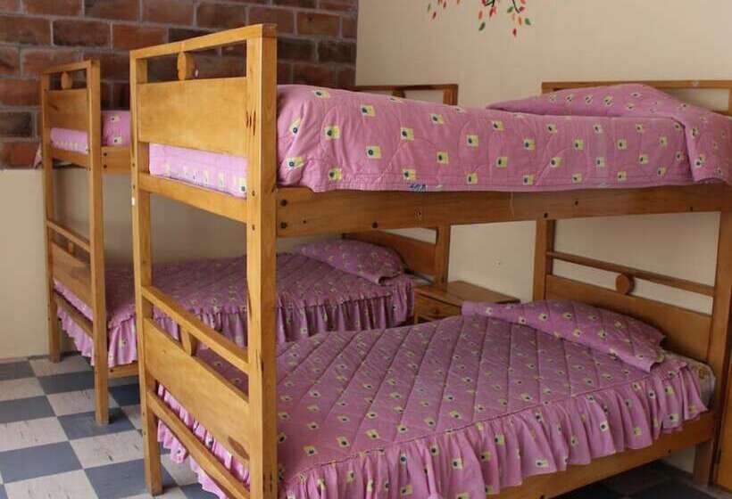 غرفة عائلية, Tungurahua