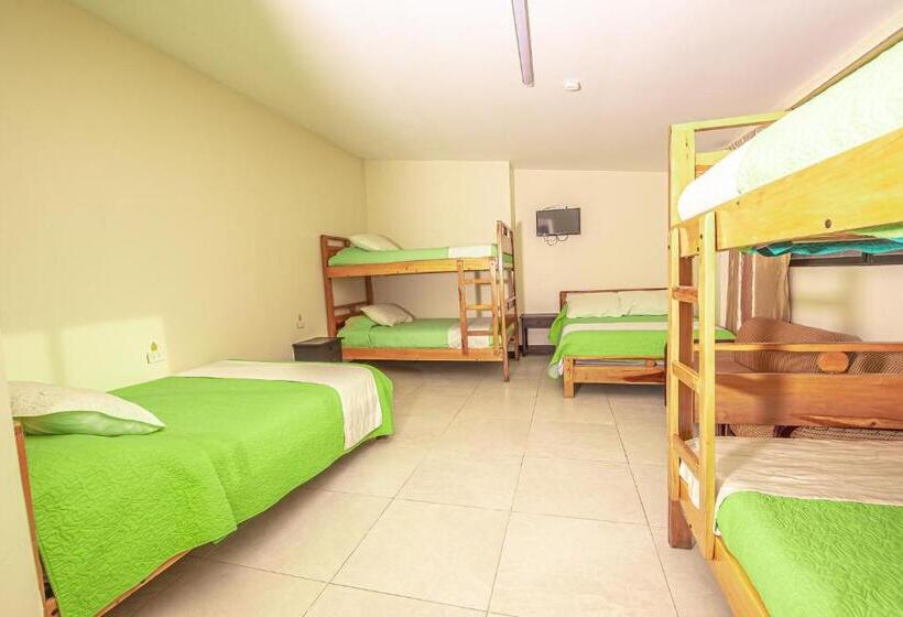 غرفة عائلية, Tungurahua