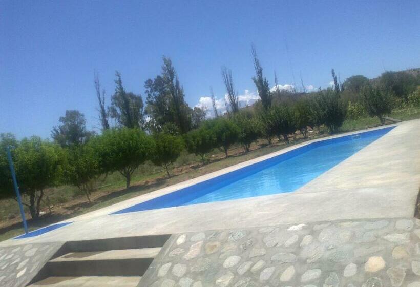 اتاق استاندارد چهار تخته, Don Remo