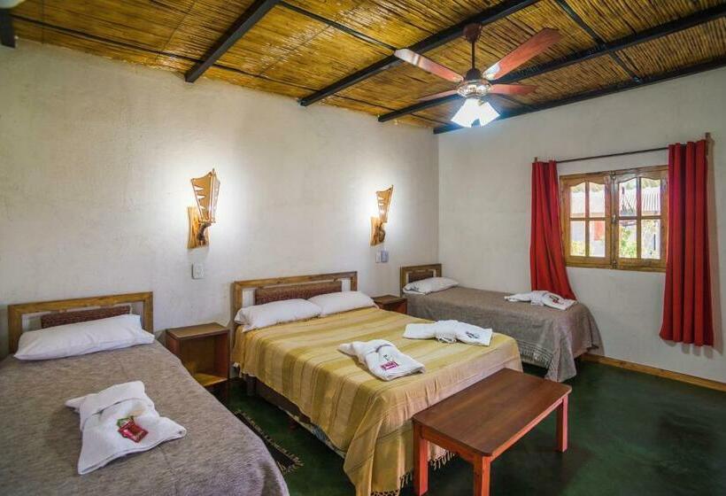 اتاق استاندارد چهار تخته, Don Remo