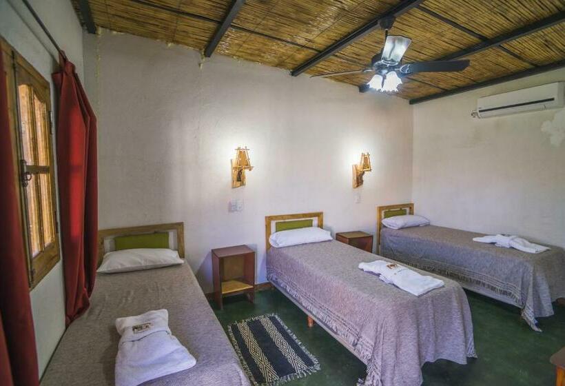 اتاق استاندارد سه نفره, Don Remo