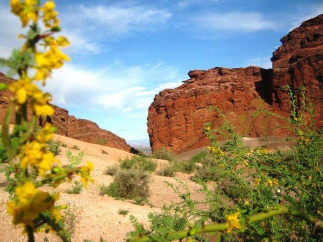 اتاق استاندارد سه نفره, Don Remo