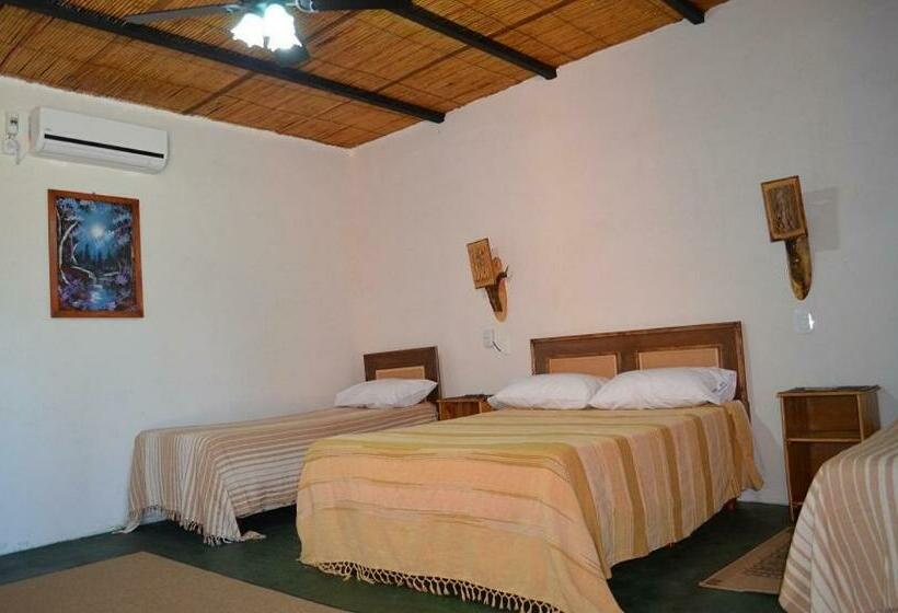 اتاق استاندارد, Don Remo