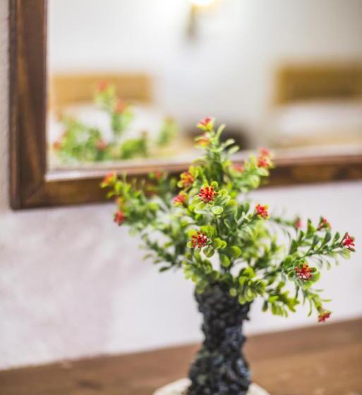 اتاق استاندارد یک نفره, Don Remo