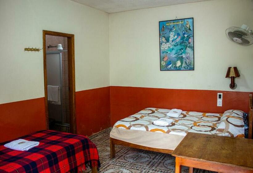 标准间, Hostal Limoncocha