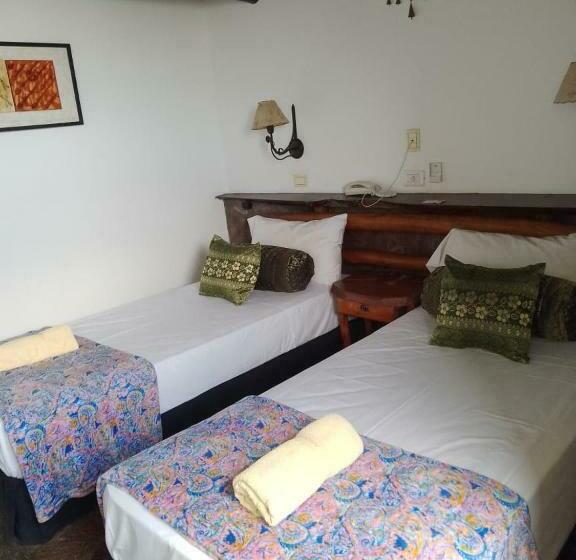 スタンダードルーム, Y Spa Arenarena