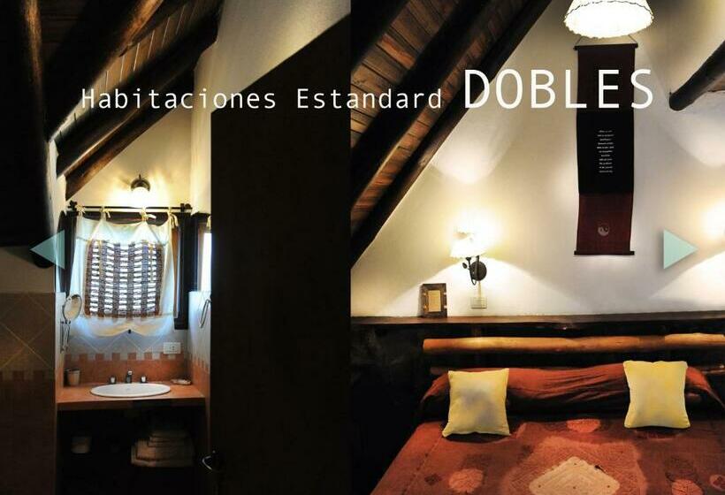 スタンダードルーム, Y Spa Arenarena