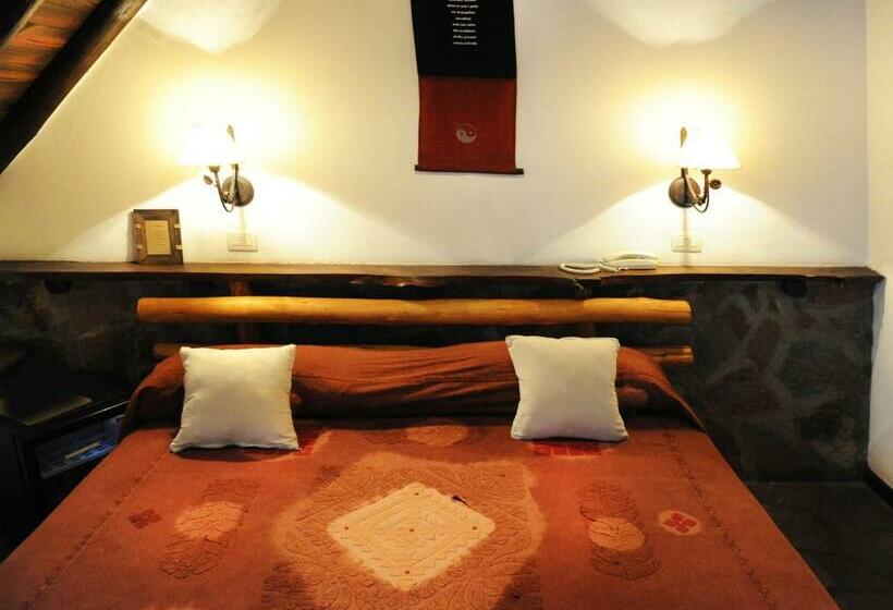 スタンダードルーム, Y Spa Arenarena