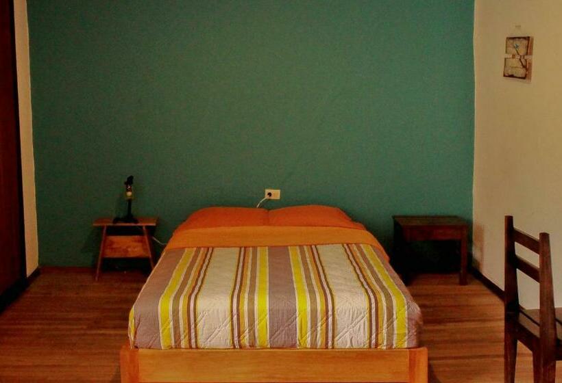 스탠다드 싱글 룸 공동욕실, Hostal Mochiliers Bed And Breakfast