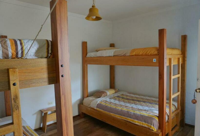 스탠다드 룸, Hostal Mochiliers Bed And Breakfast