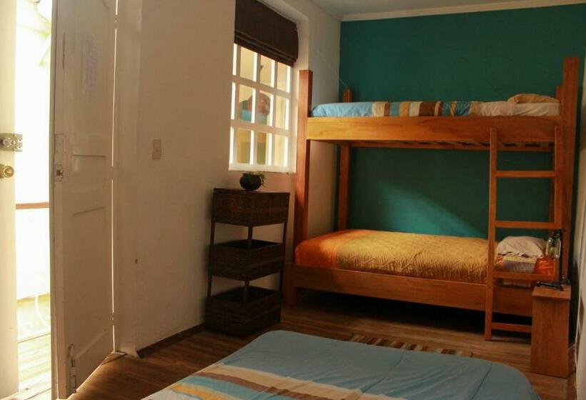 스탠다드 트리픔 룸 공동욕실, Hostal Mochiliers Bed And Breakfast