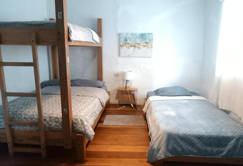 패밀리 룸, Hostal Mochiliers Bed And Breakfast