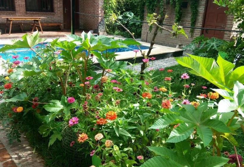 Трежместный Номер Economy, Casa Marina Argentina De Aeropuerto Ezeiza Chek In 24 H 10 Minutos De Aeropuerto