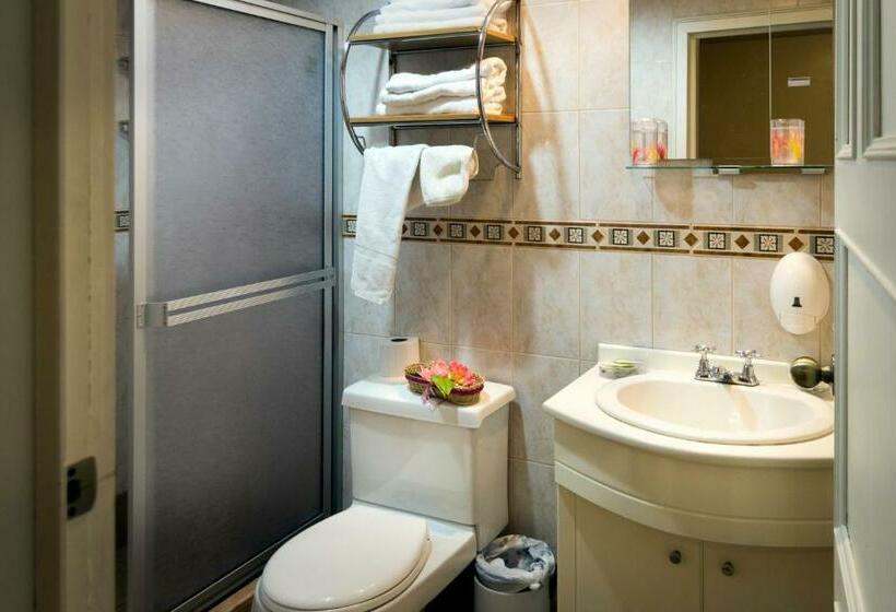 Standard Enkelrum, Mariscal Inn & Suites