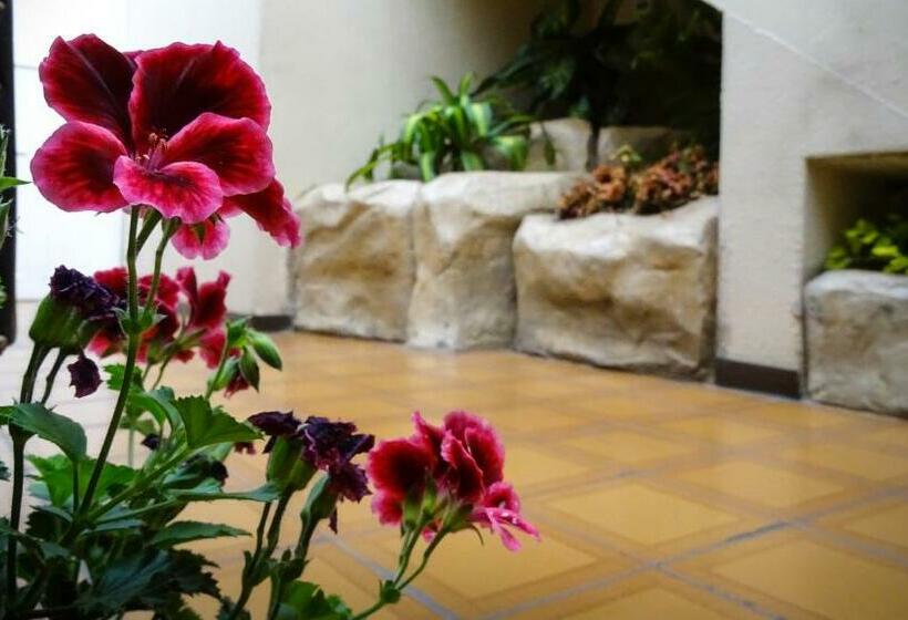 Standardrum, Mariscal Inn & Suites