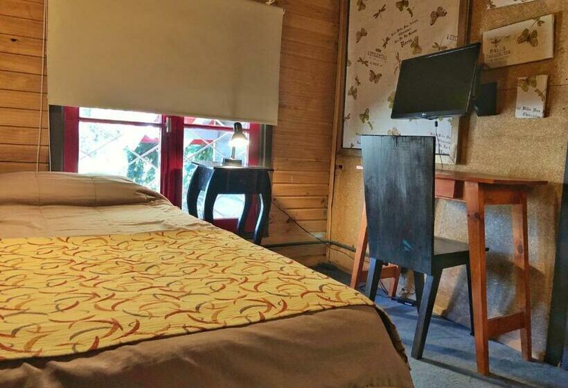 اتاق استاندارد یک نفره, La Miralejos