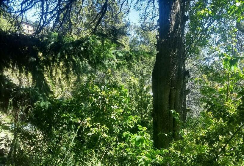 اتاق استاندارد سه نفره, La Miralejos